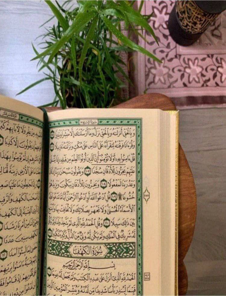 اللهم صلِّ وسلم على نبينا محمد🫀🪶