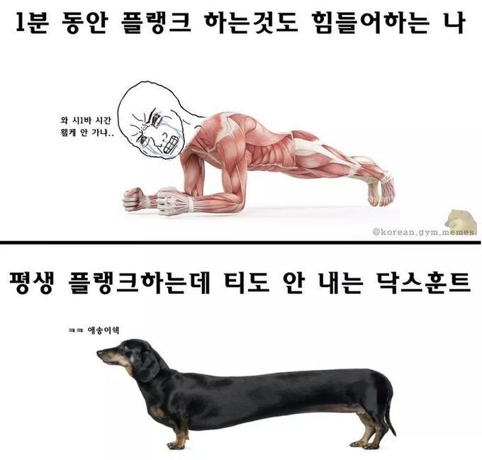 짤자판기 (@zzal_zapangi) on Twitter photo 