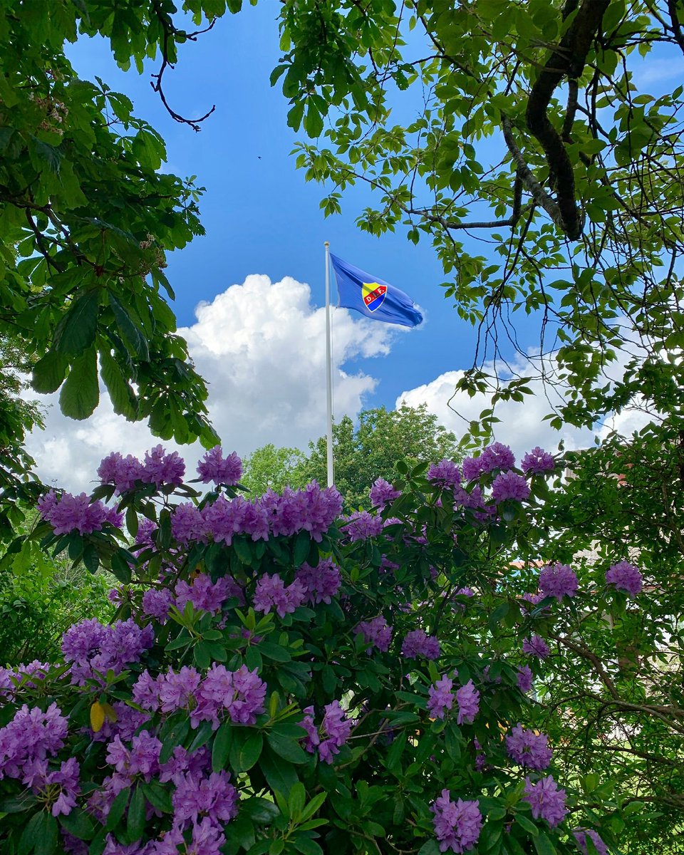 Glad midsommar, Djurgårdsfamiljen 🌞🍓🦋

#DIFHockey | #AlltidOavsett
