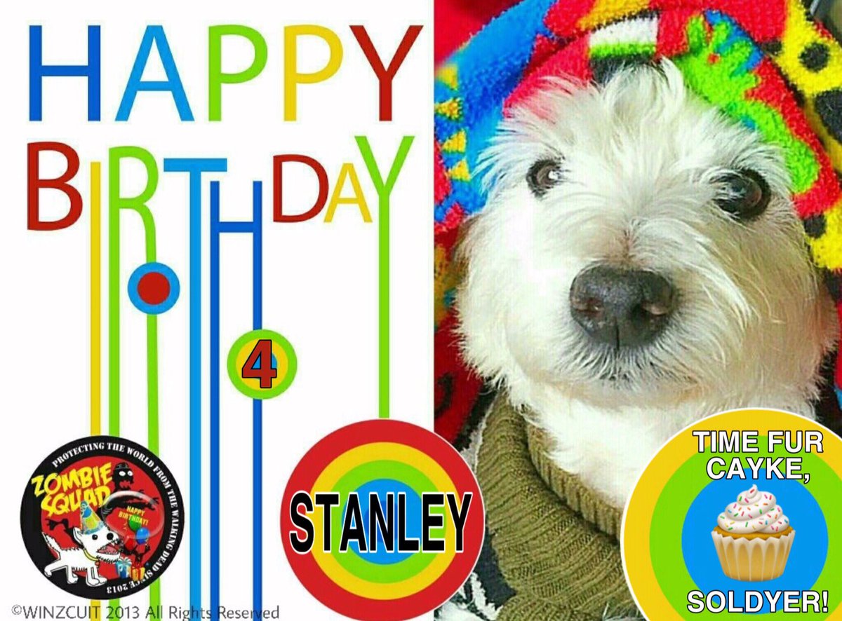 ZombieSquadHQ💖💚🧡💚🩵© (@zombiesquadhq) on Twitter photo 🎂Wishing a very 🎁HAPPY 4th BIRTHDAY🎉 to our pawsome pal, STANLEY from Leada Lord Billy & your ZombieSquad pals.🎈 We hope your very special day is full of tasty treats, belly rubs & cayke, soldyer. RaaAAA! ❤️💛🎂🎁🎈🎉
<a href="/StanleyTheSpoo/">🐩Stanley the Standard Poodle🐩</a> <a href="/ZSBirthday/">ZS Birthday🎂🎁🎉</a> #ZSHQ 🎂Wishing a very 🎁HAPPY 4th BIRTHDAY🎉 to our pawsome pal, STANLEY from Leada Lord Billy & your ZombieSquad pals.🎈 We hope your very special day is full of tasty treats, belly rubs & cayke, soldyer. RaaAAA! ❤️💛🎂🎁🎈🎉
<a href="/StanleyTheSpoo/">🐩Stanley the Standard Poodle🐩</a> <a href="/ZSBirthday/">ZS Birthday🎂🎁🎉</a> #ZSHQ