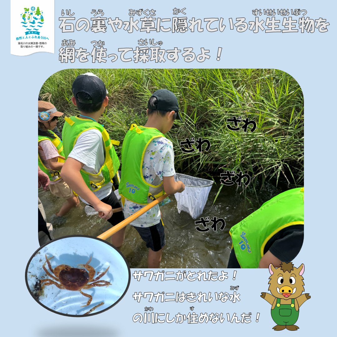 mlit_inagawa's tweet image. 【参加者募集中】
『#猪名川の愛護セミナー』の参加者を募集中!
未経験の方でも専門の指導員がいるので安心!
生き物について学びながら、猪名川の水のきれいさを知るイベントです👀
みなさまのご参加お待ちしております!
#水しごと
#河川愛護月間
