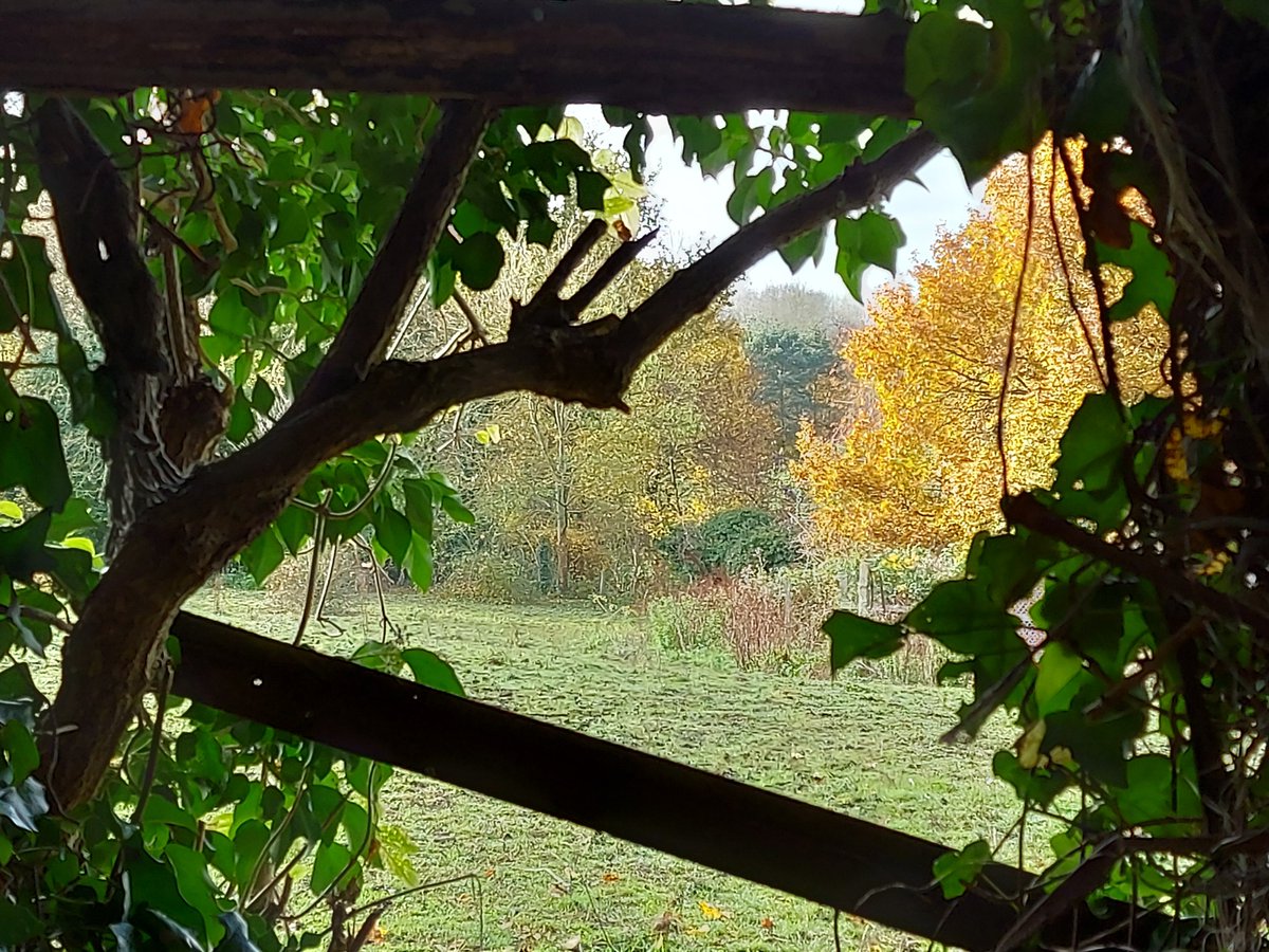 Want to find out about the history of #Hanwell and #Ealing? David Blackwell is showing a fascinating collection of books, maps and photos at Hanwell Library tomorrow, Saturday 21 June. Open 10am to 3pm and admission is free.