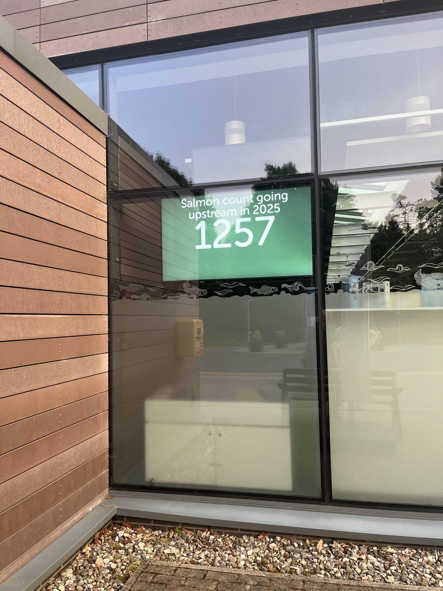 Ladder count 1257
Thursday 19/6/25   21:45 BST