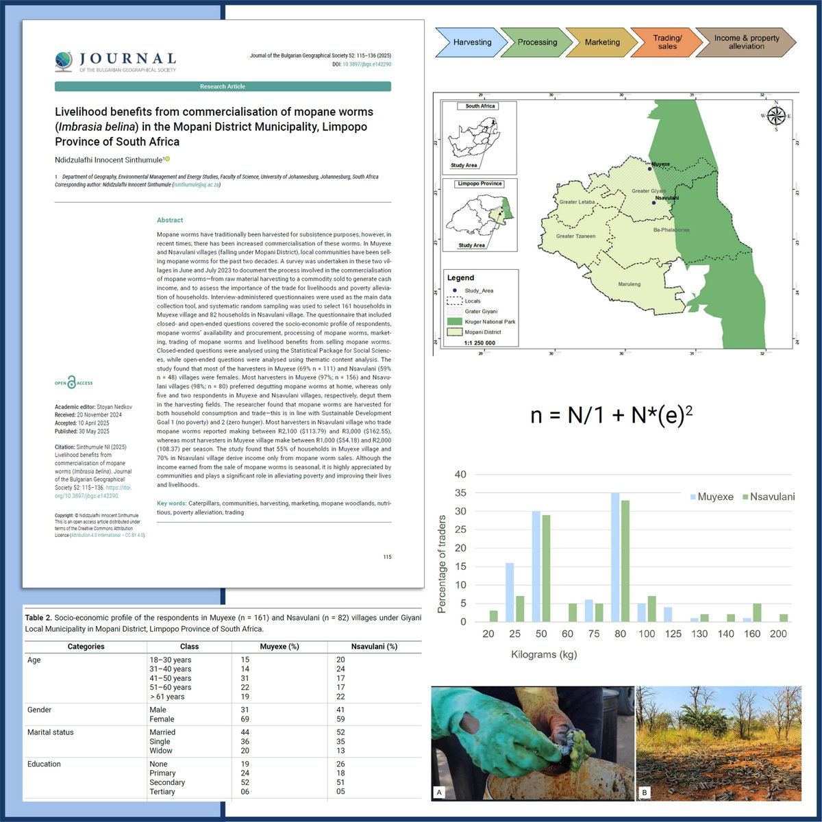 🔓NEW paper
This study contributes #local knowledge and #evidence-based information about #food supply in South Africa 🇿🇦 to the United Nations Sustainable Development Goals (SDGs) - 1. No poverty, and 2. Zero hunger: doi.org/10.3897/jbgs.e…