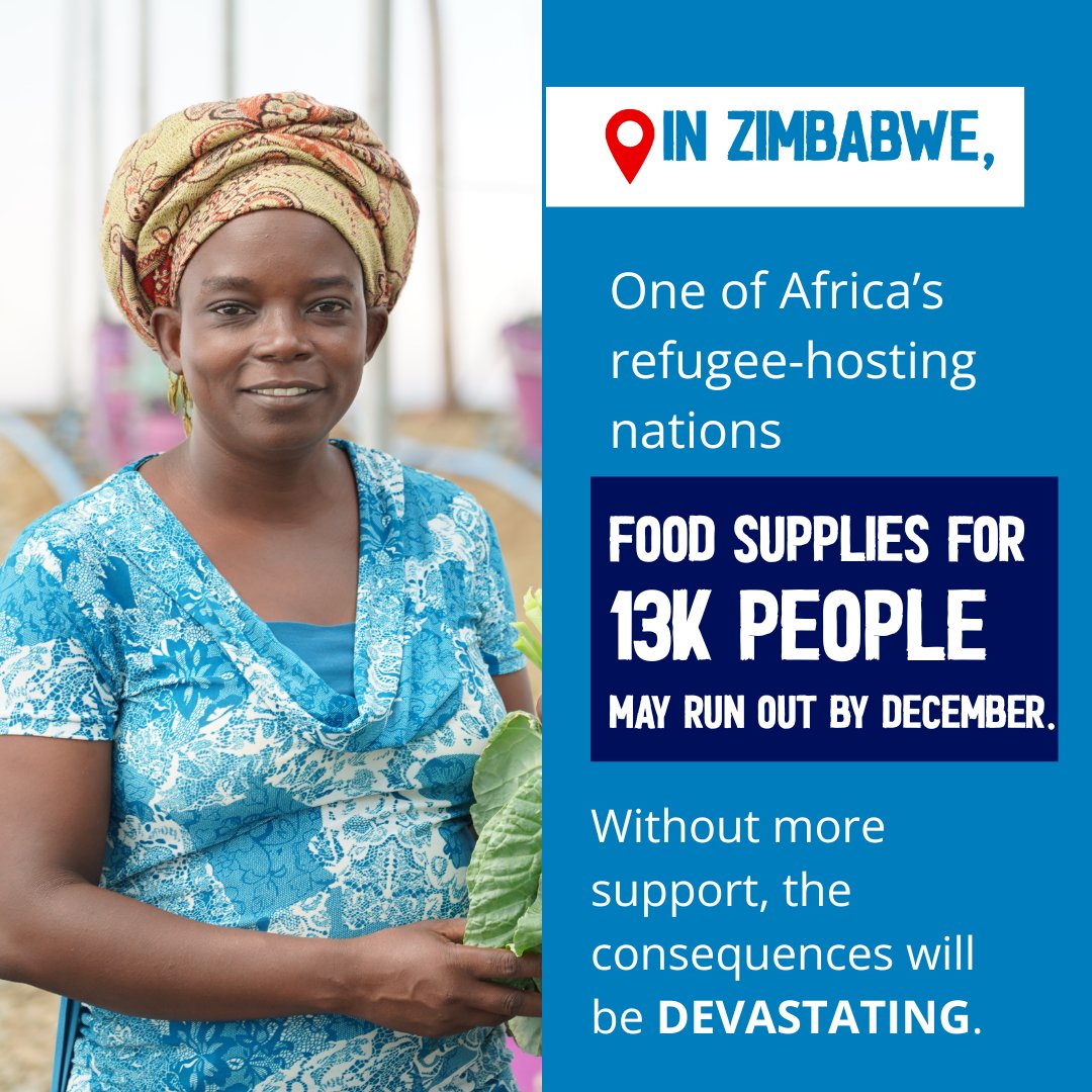 WFP_Zimbabwe's tweet image. On #WorldRefugeeDay and every day, we stand with the millions forced to flee.
Hunger and displacement know no borders, and neither does resilience.
In #Zimbabwe, @WFP supports refugees with critical food assistance, nutrition and livelihoods, turning solidarity into action.