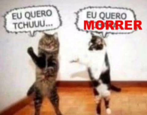 odeiootaco's tweet image. 