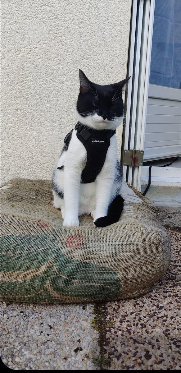 GauchoCalme tweet media