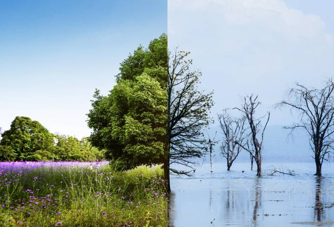 AXA XL desarrolla una taxonomía para afrontar los #riesgos de la transición climática

#Seguros #Clima 

grupoaseguranza.com/noticias-de-se…