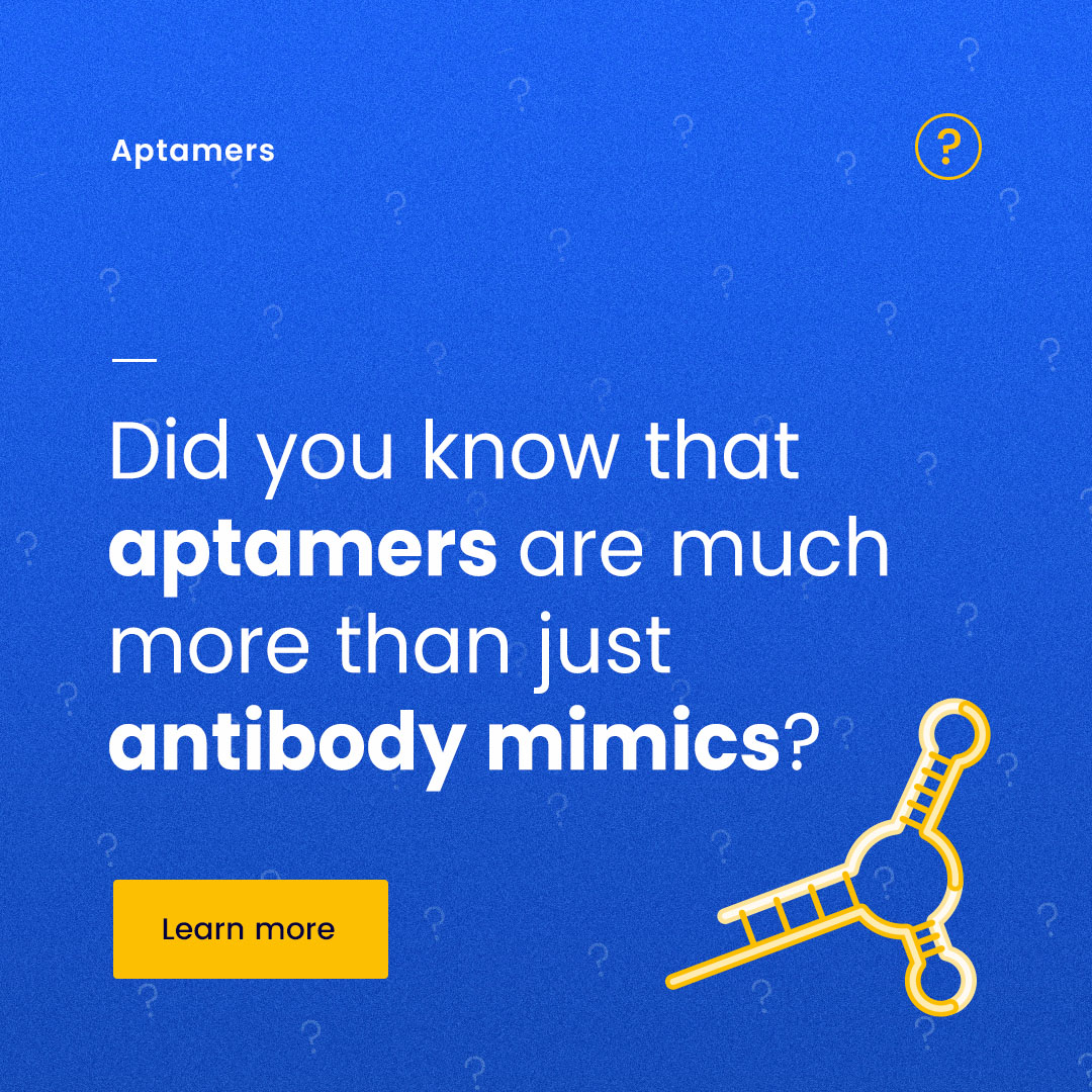 Eurogentec's tweet image. Did you know #aptamers can do far more than mimic antibodies?
These single-stranded molecules offer unmatched versatility, acting as molecular recognition tools in #diagnostics, targeted #therapeutics, biosensors, biological pathway regulation, and even purification processes.