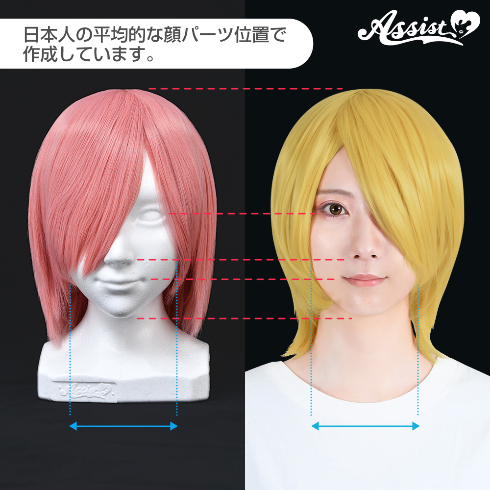 フェアリーテイルウィッグ！アナ！マネキン付き（発泡） アシスト コスプレ用品専門店 on X