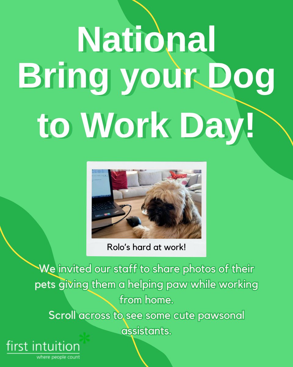 First Intuition Bristol tweet media