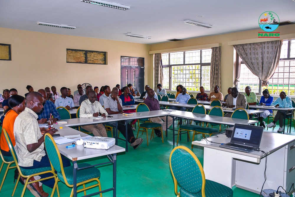 NARO-NaCRRI-Namulonge (@naro_nacrri) on Twitter photo Scientific Seminar talk <a href="/NARO_NaCRRI/">NARO-NaCRRI-Namulonge</a> by Enoch Wembabazi on #Phenotyping Root Quality Traits to Support #Breeding of Demand Driven Products: A case of #RTB Crops.
He shared how the evaluation of RTB crops to meet agronomic traits, consumer taste & processor preferences is done. Scientific Seminar talk <a href="/NARO_NaCRRI/">NARO-NaCRRI-Namulonge</a> by Enoch Wembabazi on #Phenotyping Root Quality Traits to Support #Breeding of Demand Driven Products: A case of #RTB Crops.
He shared how the evaluation of RTB crops to meet agronomic traits, consumer taste & processor preferences is done.