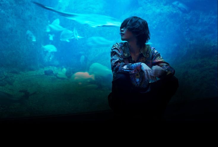 바다의 유령을 노렸으나 어항의 유령이 된 건에 대하여