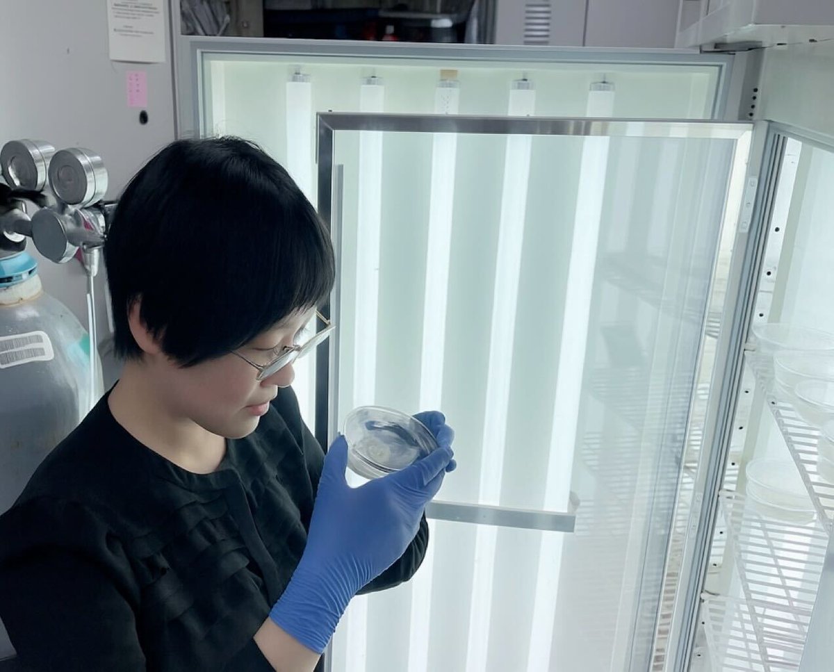 #福井県立大学 #生物資源学研究科 博士後期課程2年生の平野羽留さんが、この度、前田工繊財団より研究助成金を授与されました。
この助成金は、平野さんが取り組む「ドローンで全自動種まきが可能なイネ品種の開発」のための研究に活用されます。