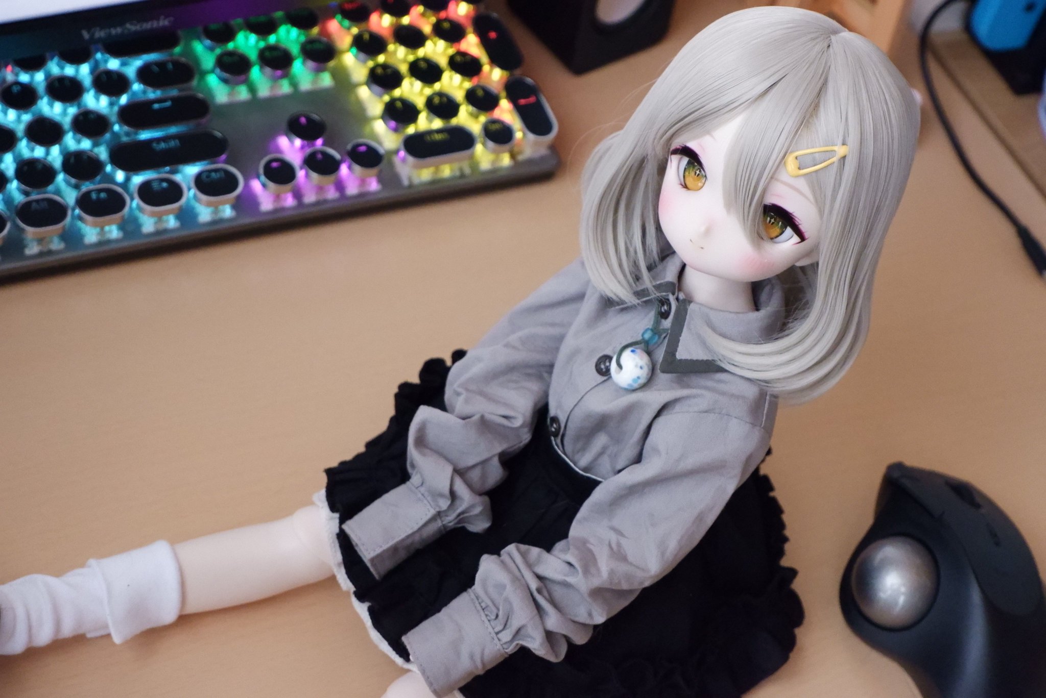 はるはる様ご検討用 春雨🐟 on X: 