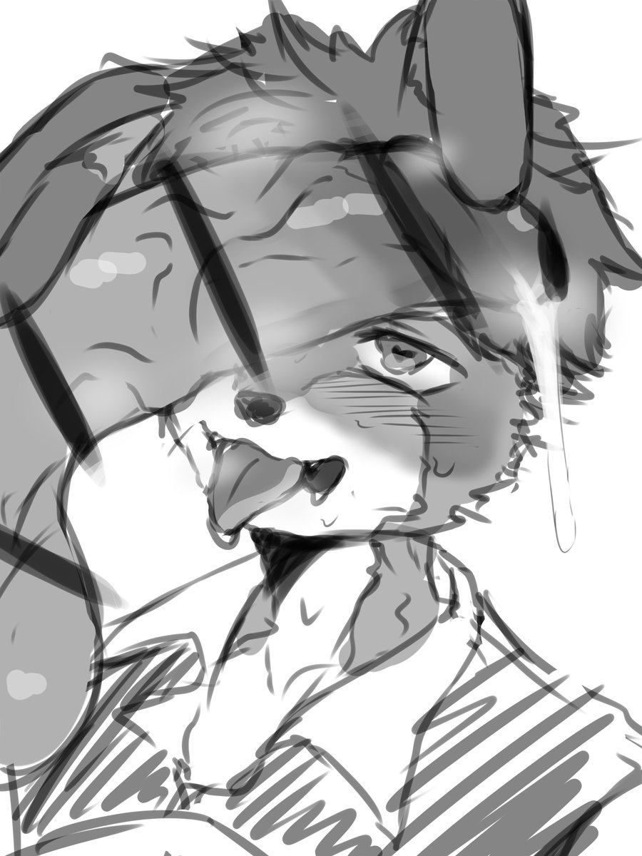 うさぎ