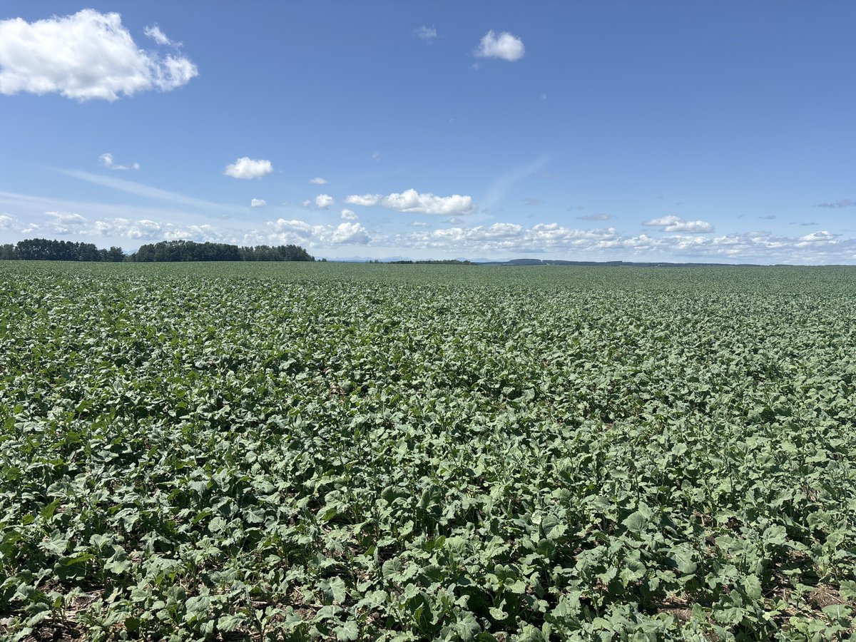 Melissa Leischner tweet media