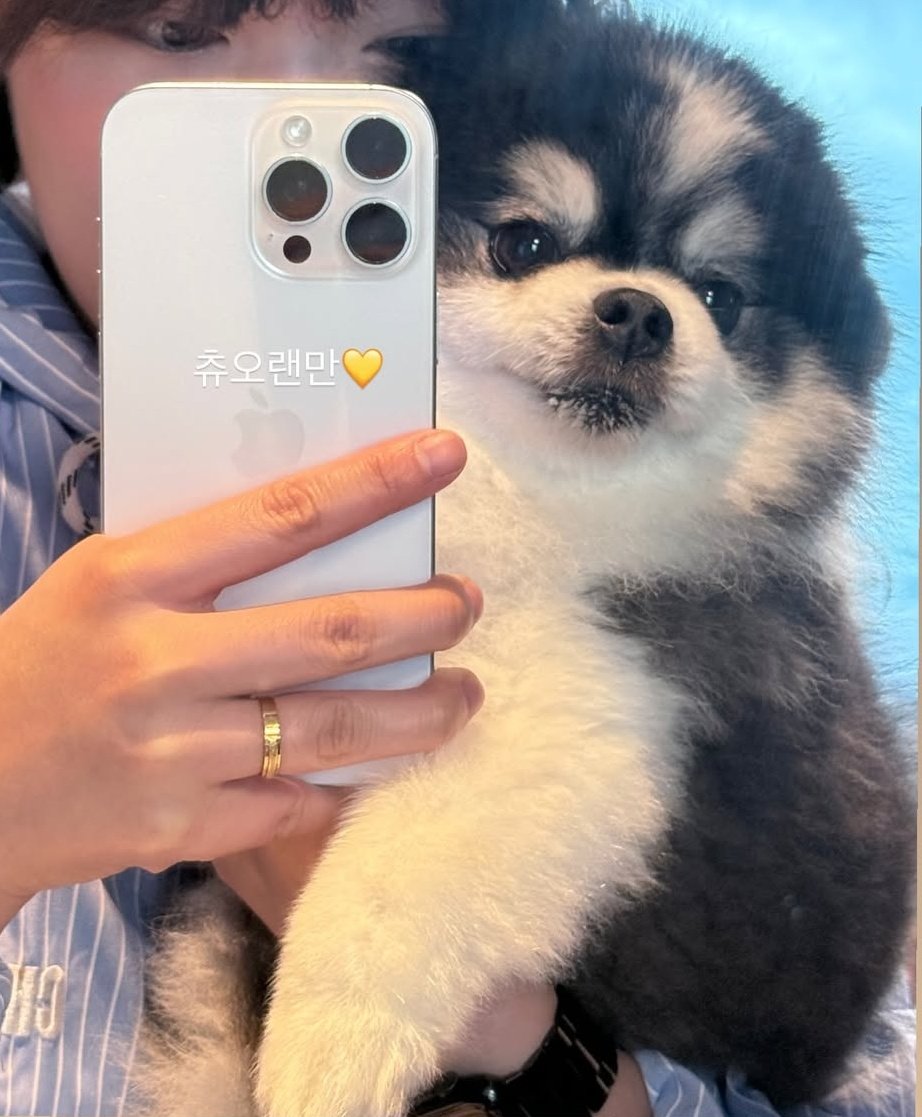 츄도 왔나봥 ~ 💞💞