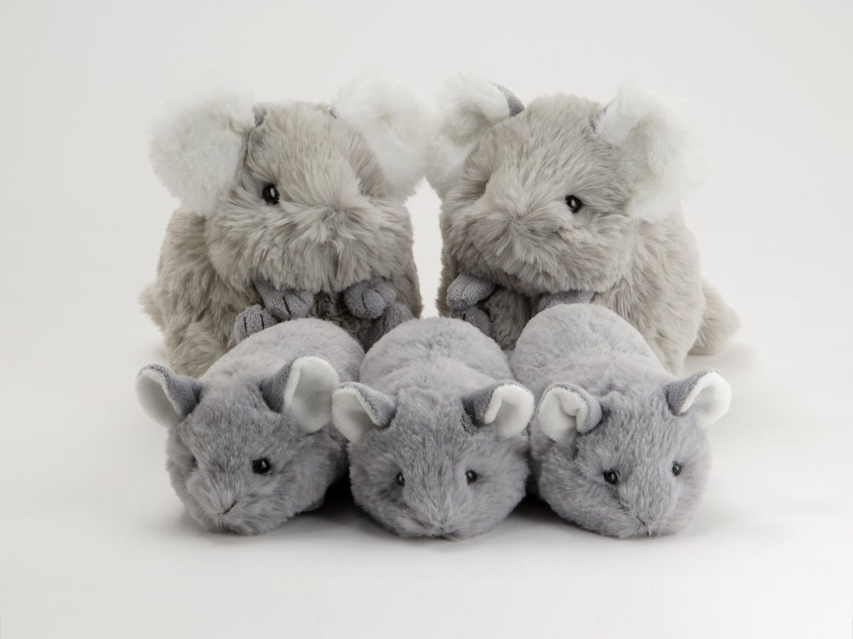 こちらのベイビーチンチラぬいぐるみ、再入荷しました！
seibutuen-onlineshop.raku-uru.jp/item-detail/18…

#生物園オンラインショップ
#チンチラ #サンレモン #ぬいぐるみ
#大きいモフモフのチンチラも販売中
#足立区 #生物園