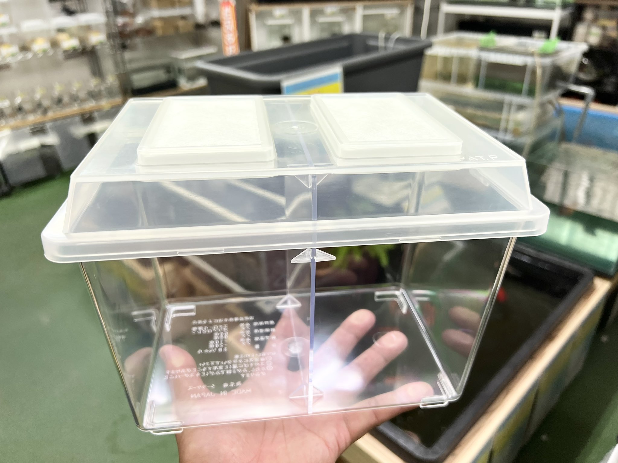 楽天市場】コバエシャッター ミニ セパレーターの通販