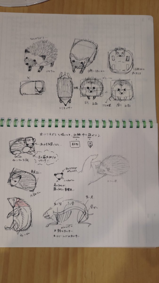 最近繋がった方々へ
実は私はもともと絵描きアカです
らくがきを垂れ流すために作ったはず…だったのですが…