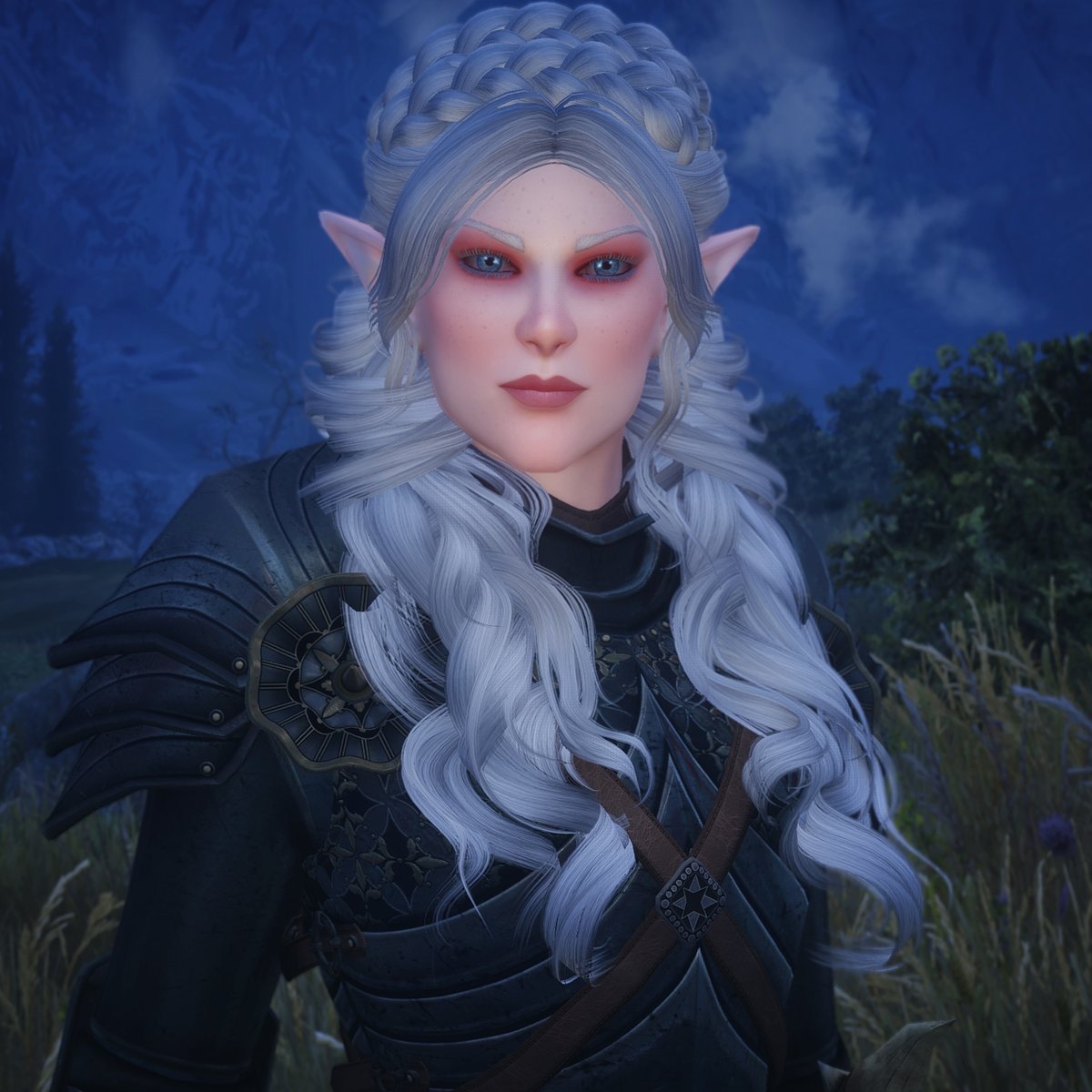 ViciousSarr's tweet photo. Snow Elf #Skyrim #ElderScrolls https://t.co/h7Kk4OPWj7