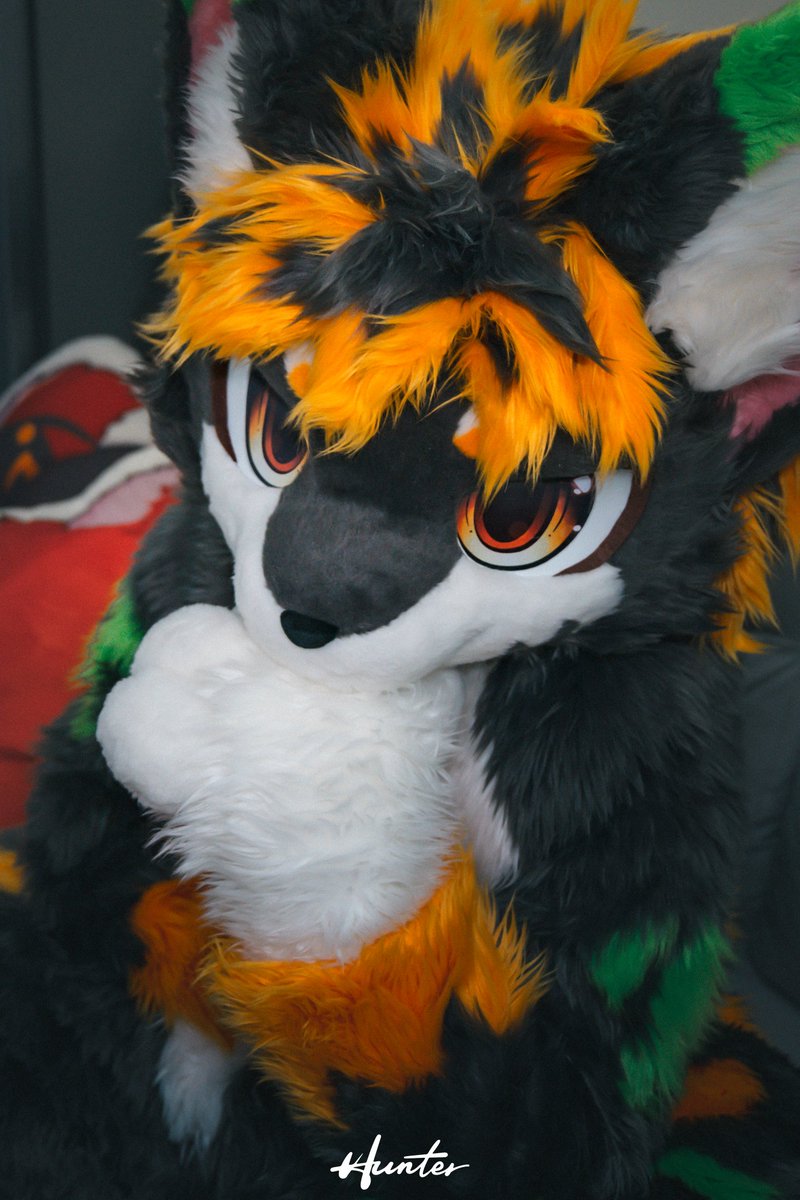 #FursuitFriday
当世界喧嚣得让我听不见自己
当情绪如潮水般涌来，让我措手不及时
我需要一段时间，把自己藏起来
让思绪归于平静，让心绪重新归零！