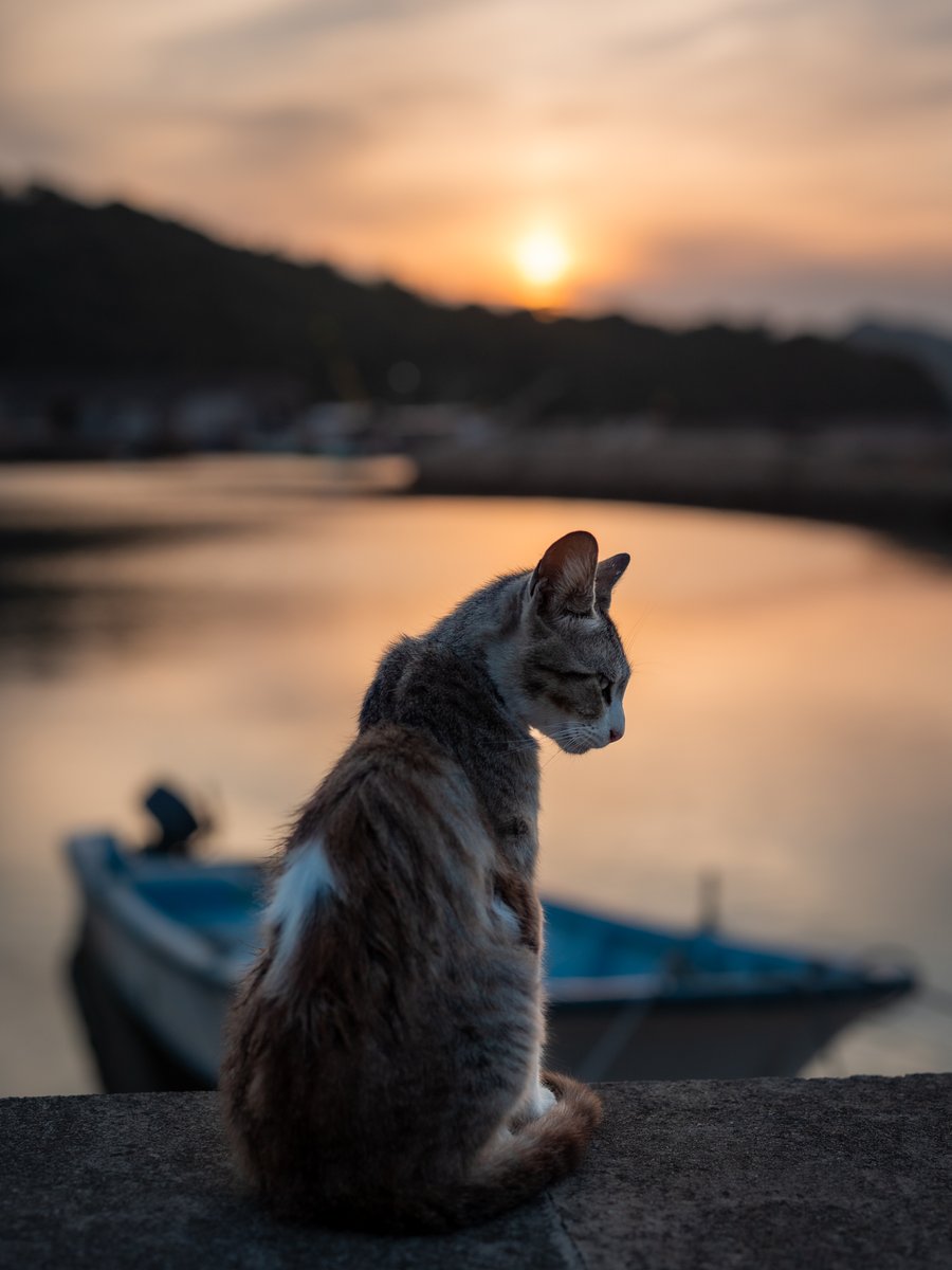 週末のひととき。