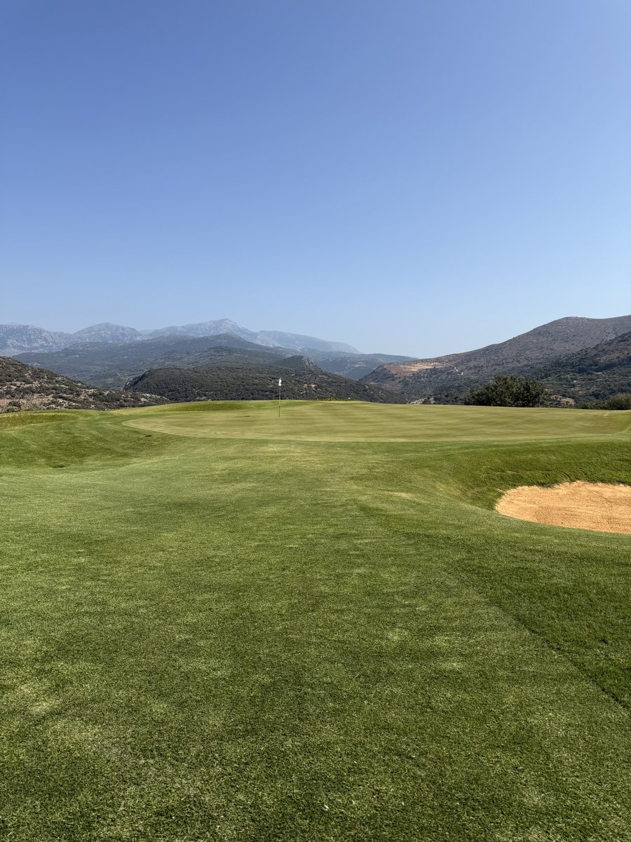 crash carti tweet media