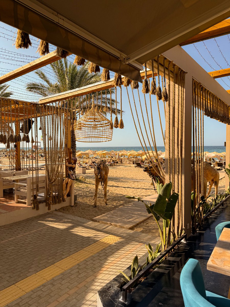 crash carti tweet media