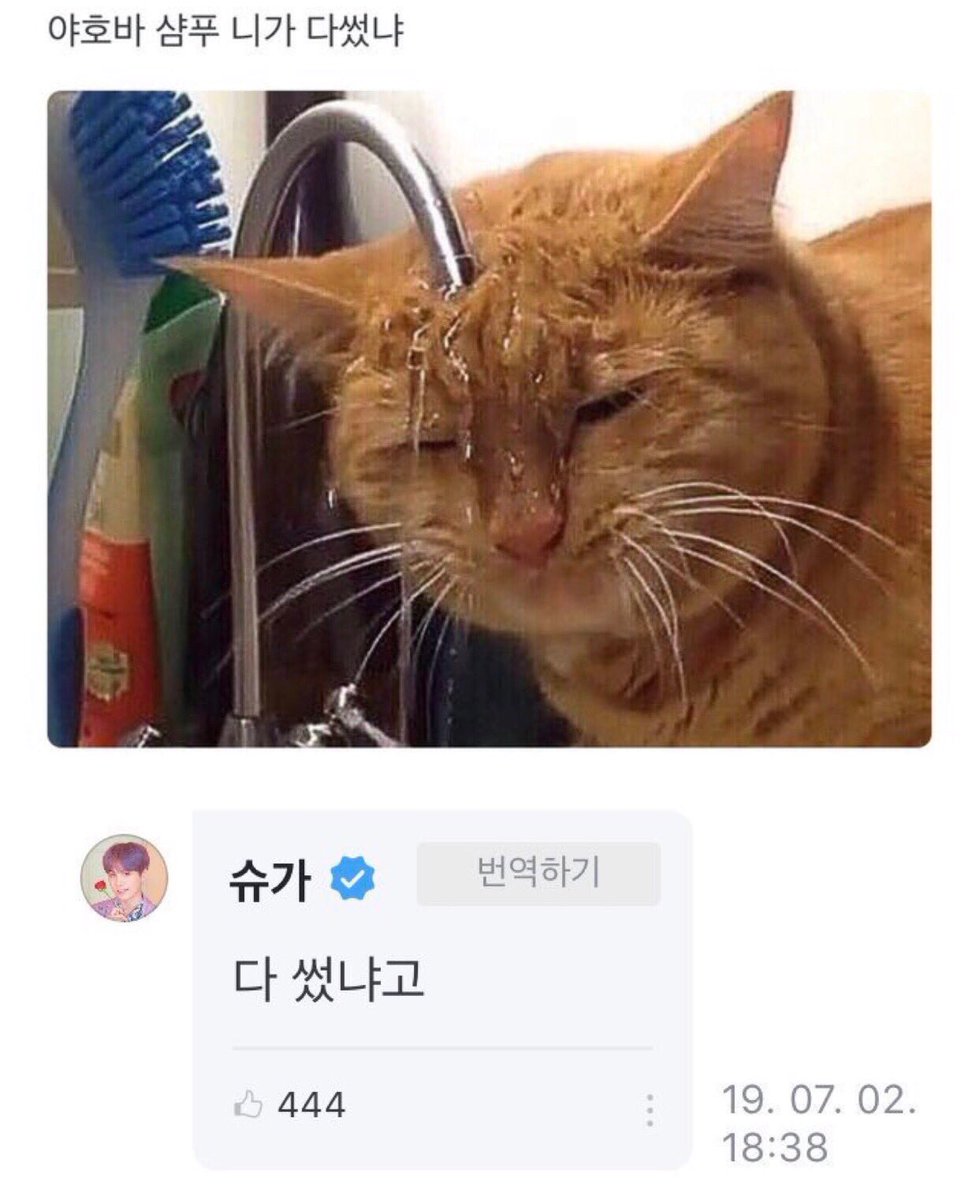 RASA💜 ⟭⟬ ⟬⟭ tweet media