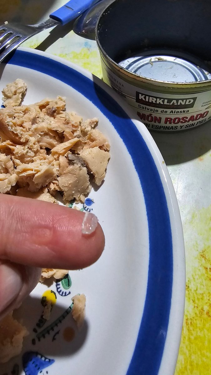 Yo que era tan fan de las latas de salmon del <a href="/Costco/">Costco</a> y me acaba de salii un vidrio dentro mmmmta.