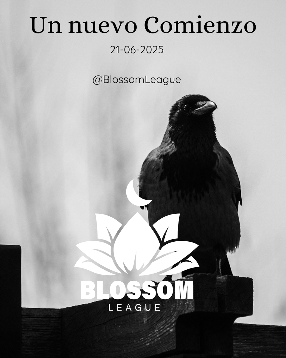 novacrows's tweet photo. Un nuevo Comienzo, a darlo todo en la grieta de la @BlossomLeague mañana anunciamos roster 🐦‍⬛🐦‍⬛🐦‍⬛ https://t.co/vJzInrohOw