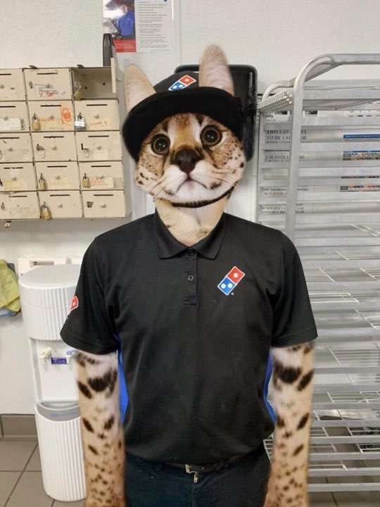 Asher (@asherlaplace) on Twitter photo 