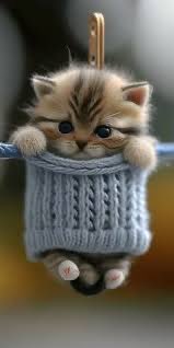 Good morning to all you wonderful people have you have had a good night keep smiling be kind stay happy enjoy your day hugs 🥰🫂💞☕️☕️☕️🐦‍⬛🐿️🐝🥓🍳🥖😻🐶🐾🌞🌞🌞🫂🫶🫂🫶🫂🫶🫂🫶🫂🫶🫂🫶🫂🫶