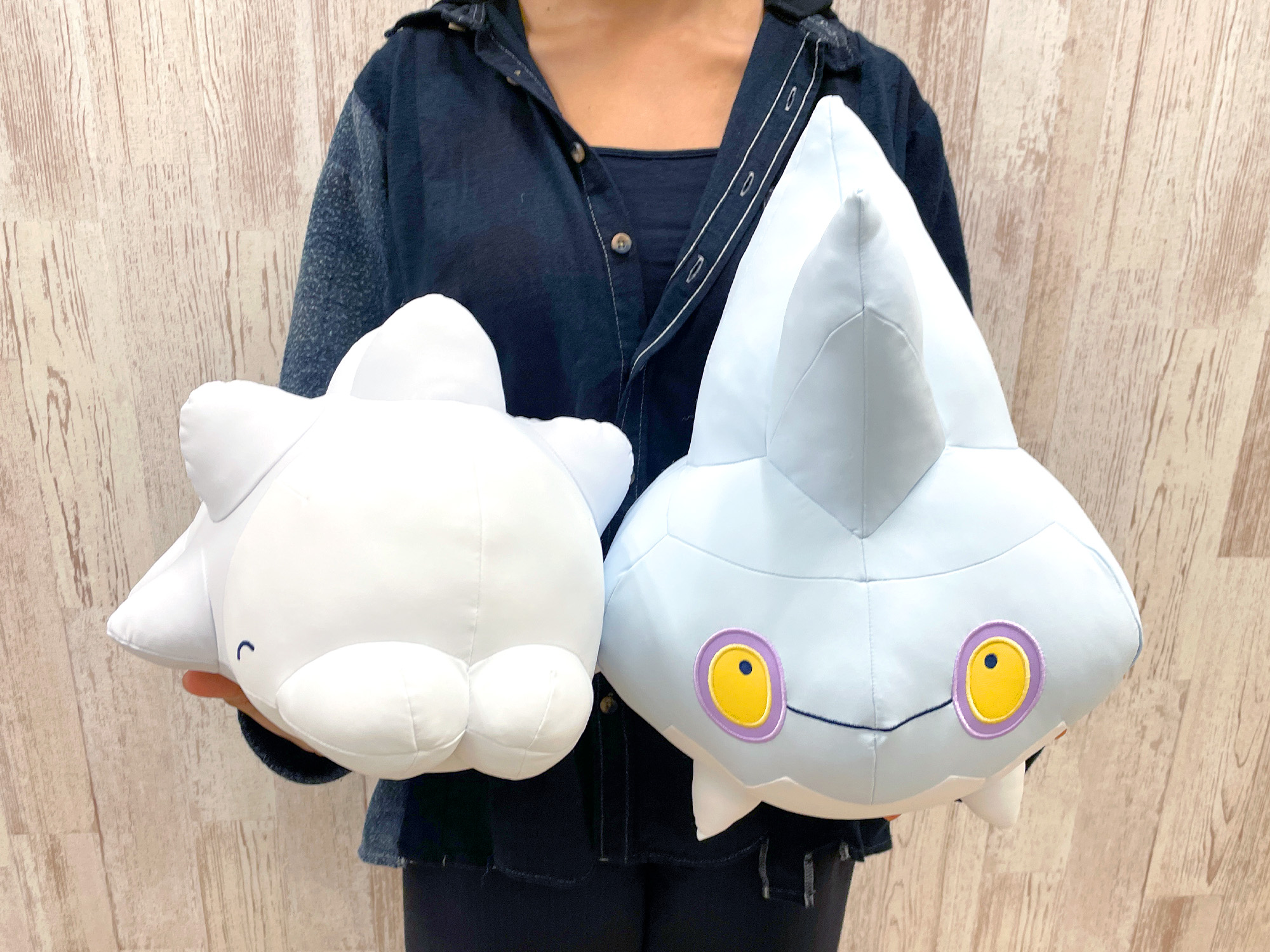 ポケモンだいすきクラブ編集部【公式】 on X: 