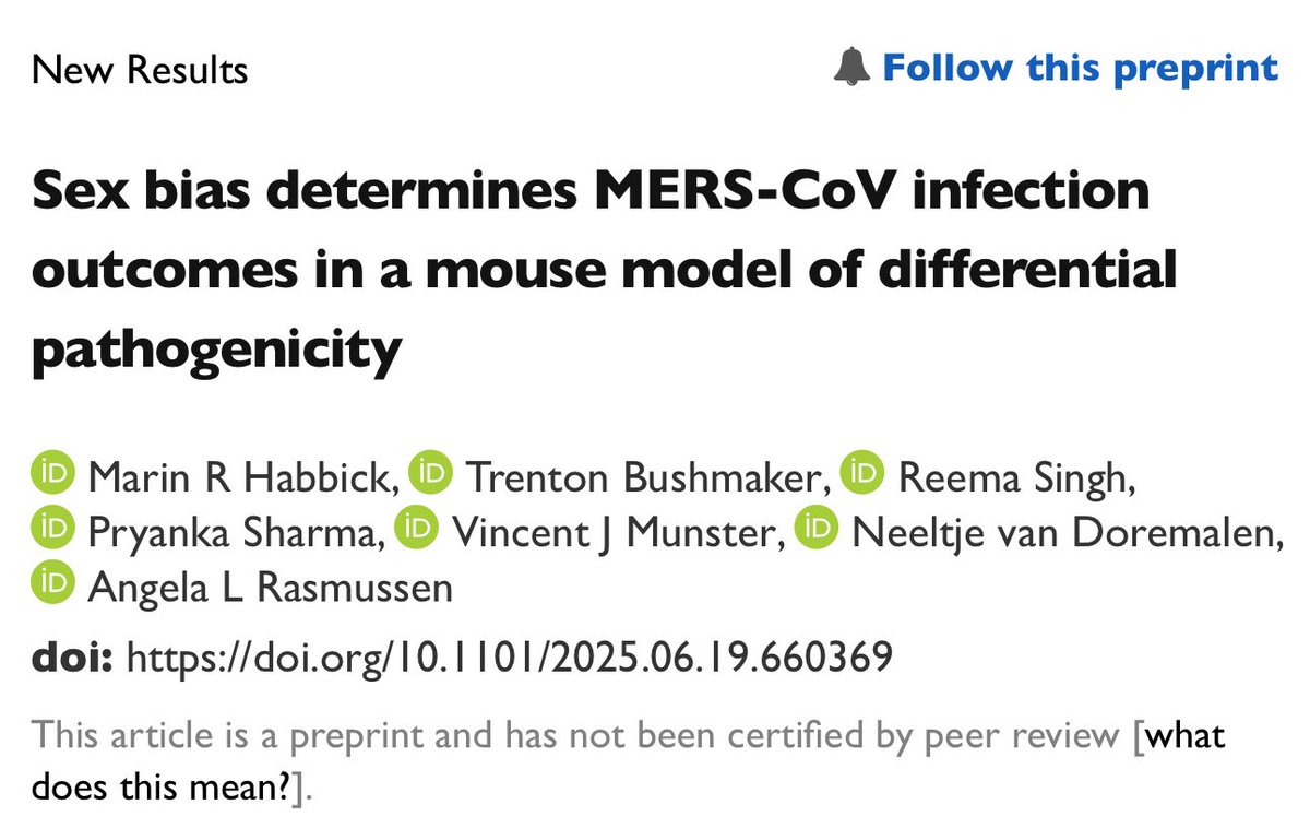 Dr. Angela Rasmussen (@angie_rasmussen) on Twitter photo Do you like sex? How about viral pathogenesis?
If you’re like me the answer is both & the <a href="/Rasmussen_Lab/">Rasmussen Lab</a> has got the preprint for you!
Led by Marin Habbick in collaboration with our brilliant colleagues at RML, we showed that when it comes to MERS-CoV, it sucks to be male! Do you like sex? How about viral pathogenesis?
If you’re like me the answer is both & the <a href="/Rasmussen_Lab/">Rasmussen Lab</a> has got the preprint for you!
Led by Marin Habbick in collaboration with our brilliant colleagues at RML, we showed that when it comes to MERS-CoV, it sucks to be male!