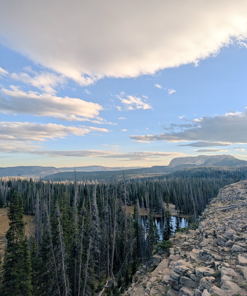 VanDiemen_'s tweet photo. If any public land is sold to private parties, then by definition we all lose access to it. Forever.

It won't help with the housing crisis. It won't help with the debt. I disagree with this attempt to exclude me from the land. https://t.co/Zomd5qFkCP