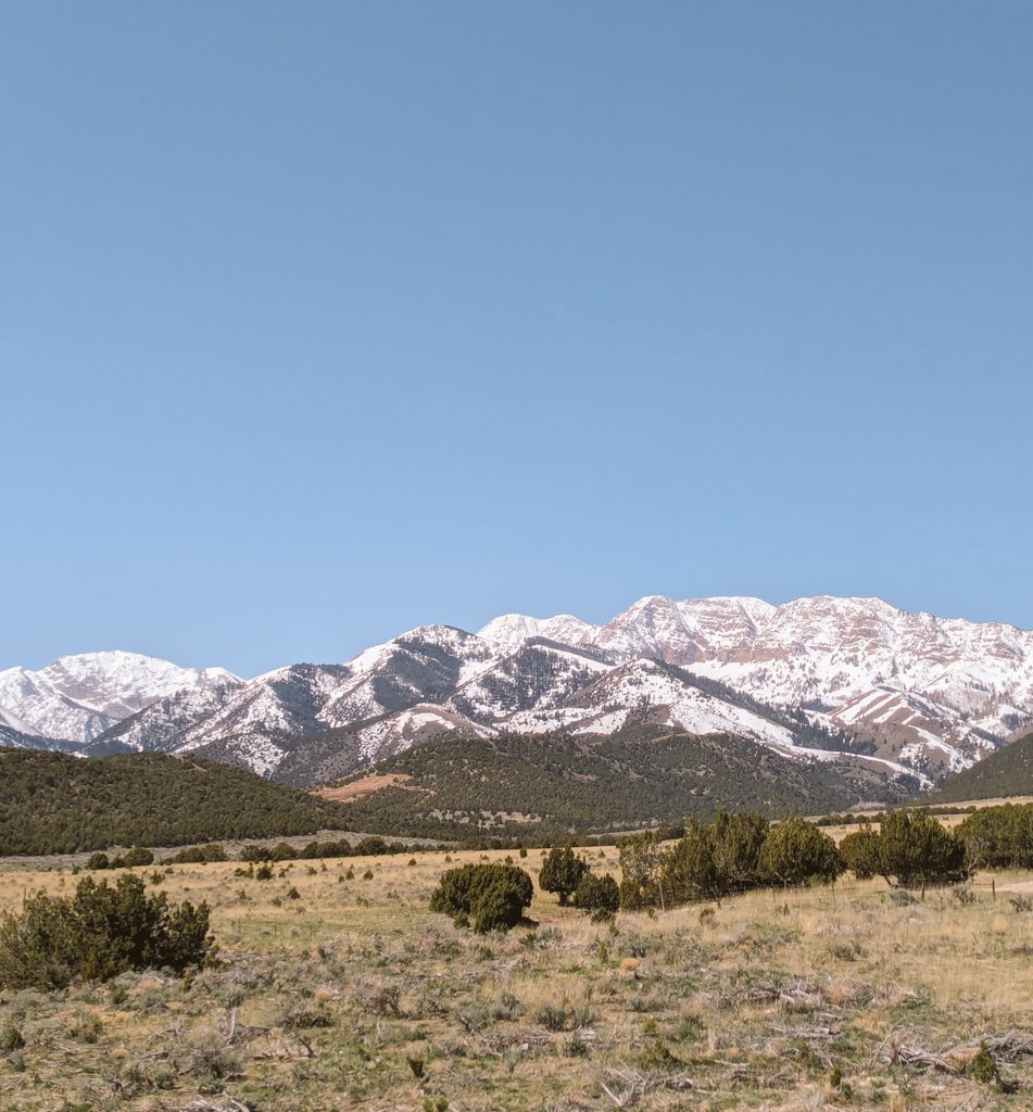 If any public land is sold to private parties, then by definition we all lose access to it. Forever.

It won't help with the housing crisis. It won't help with the debt. I disagree with this attempt to exclude me from the land.