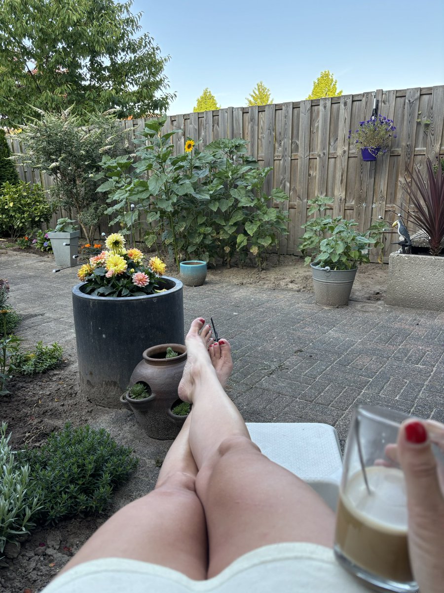 Goedemorgen! 

Kijk m’n zonnebloem stralen, wachtend op de zon 🌻 Het belooft een prachtige dat te gaan worden. Zin in! Nog meer zin in het weekend wat voor de deur staat. 

Ook vandaag weer naar kantoor. Dan vliegt de tijd meestal. Eerst eens wakker worden. 

Nu ☕️