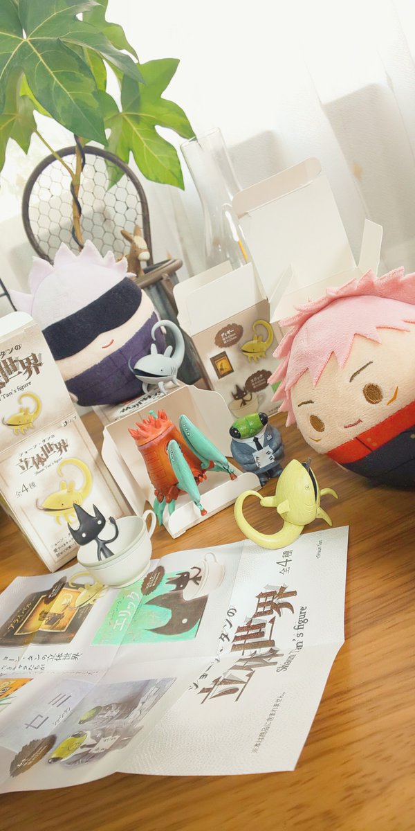 ずーーーーーーっと楽しみにしてた子達きちゃ～～～～～～～～～～！！！！！！！！！！かわいい～～～～～～～～！！！！！！！！！！！！！！！！！！！！！