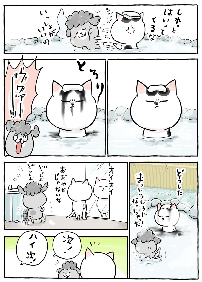 【特典付】おじさまと猫犬と猫どっちも飼ってると毎日たのしい 松本 ひで吉 犬と猫どっちも飼ってると毎日たのしい（4）』（松本 ひで吉