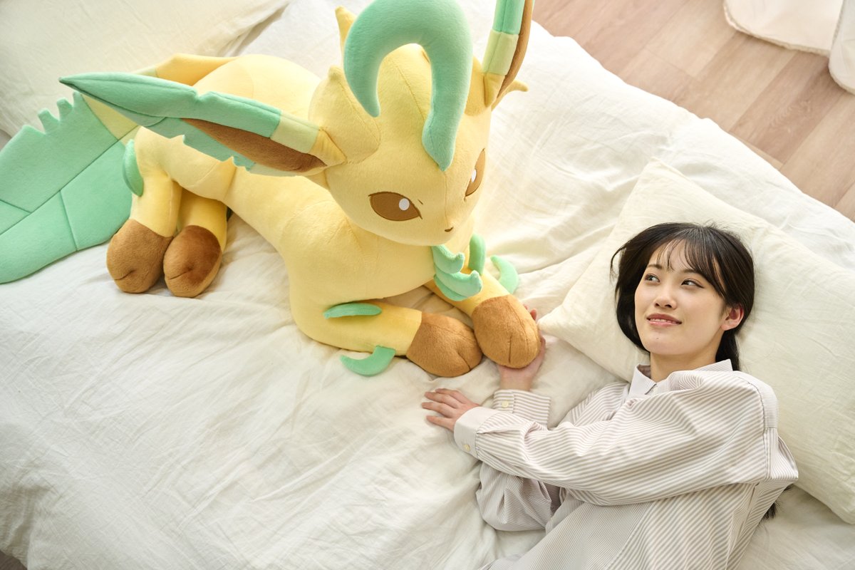 project_eevee's tweet image. 待望の等身大ぬいぐるみシリーズに #イーブイ たちが✨
本日から #ポケモンセンターオンライン で受注スタート！
第３弾は #リーフィア #グレイシア #ニンフィア だよ✌️
お昼寝したり読書したり写真を撮ったり…
家族だんらん憩いのひとときを☺️💕
pokemoncenter-online.com/search/?srule=…