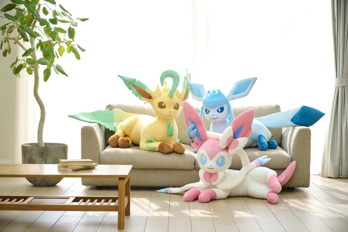 待望の等身大ぬいぐるみシリーズに #イーブイ たちが✨
本日から #ポケモンセンターオンライン で受注スタート！
第３弾は #リーフィア #グレイシア #ニンフィア だよ✌️
お昼寝したり読書したり写真を撮ったり…
家族だんらん憩いのひとときを☺️💕
pokemoncenter-online.com/search/?srule=…