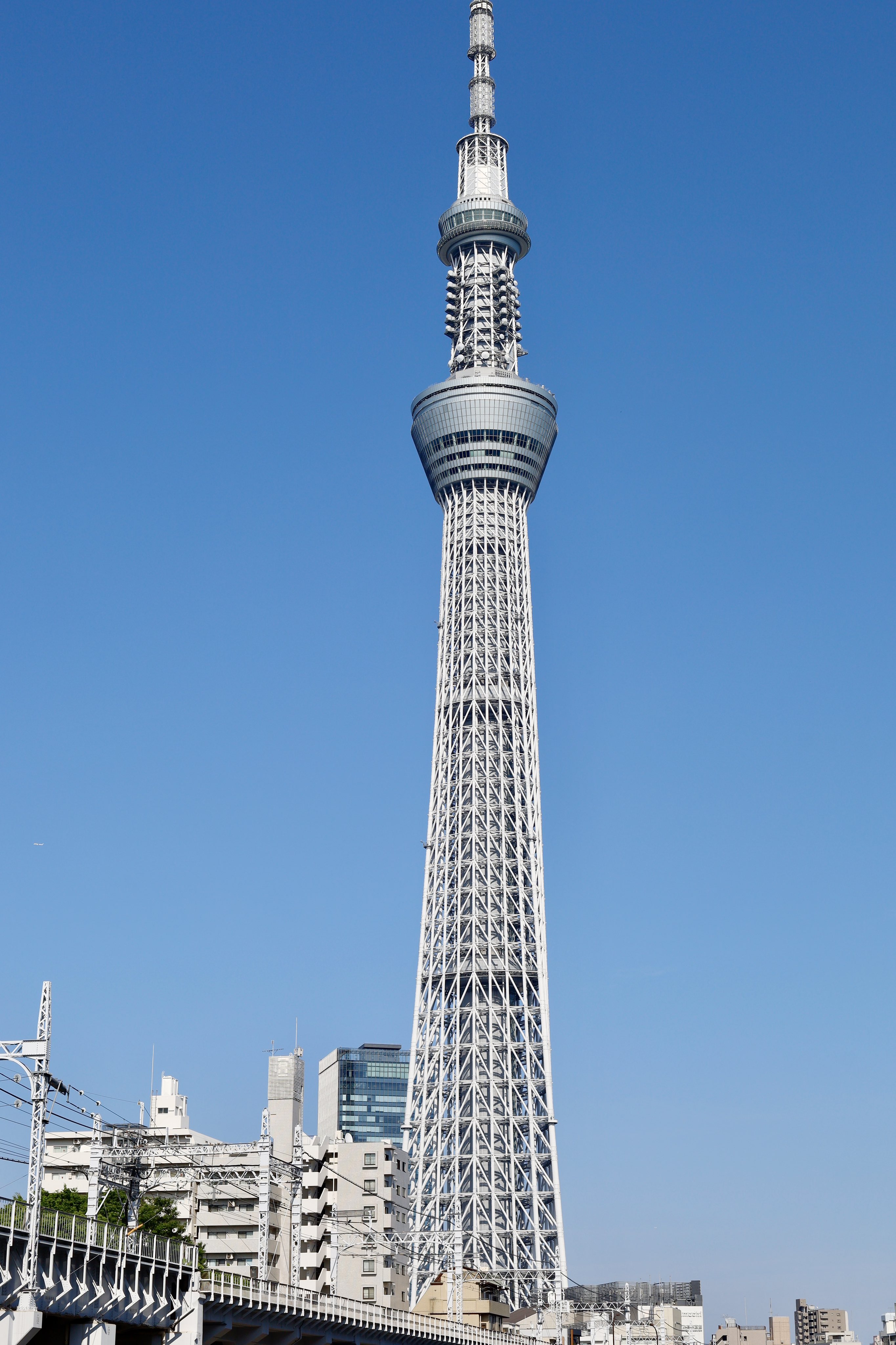 ともちゃんページ hq720.jpg?sqp=-