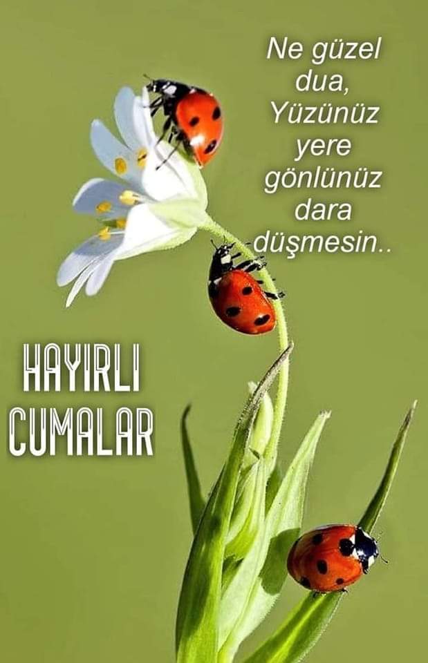 UYYAZAN's tweet photo. https://t.co/4Ar0RmIuTz