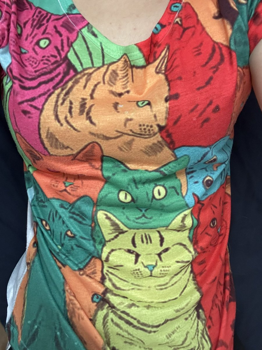 猫ちゃんいっぱいの派手派手お気に入りTシャツです😂💕
#猫のいる暮らし
#猫のいる幸せ
#ねこ