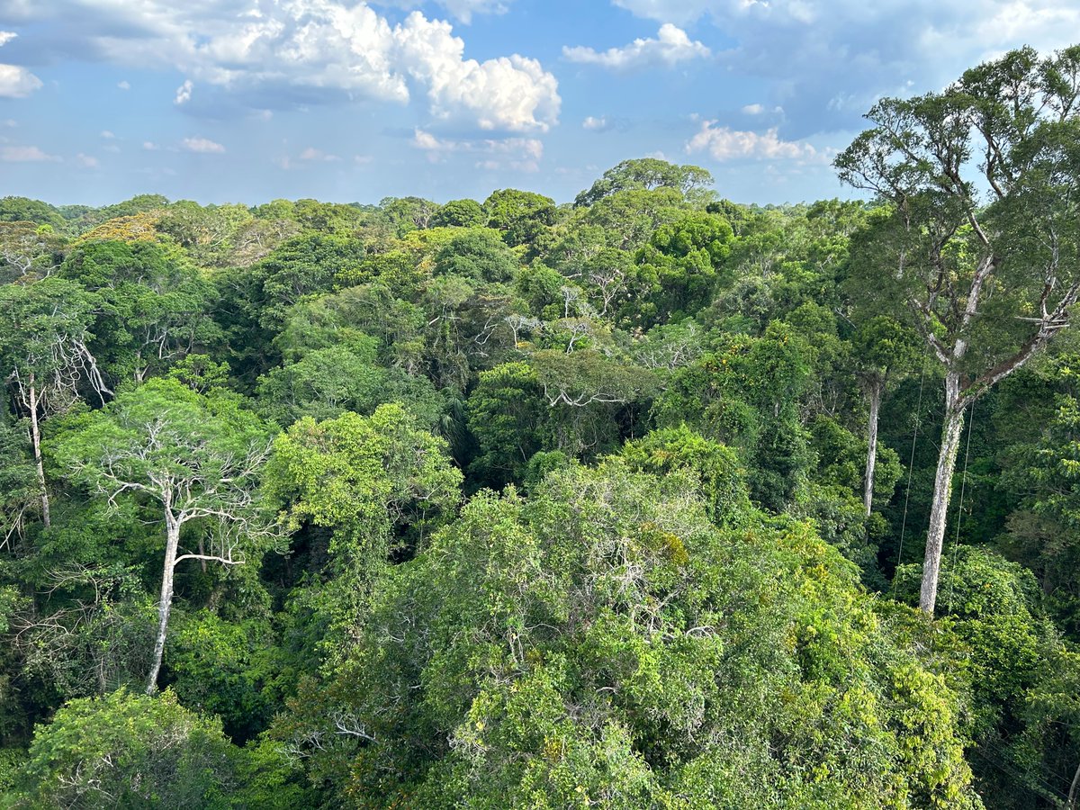 Conservation International has worked to protect one of the most extraordinary places on Earth: the Amazon. Over 35 years, we have helped conserve more than 112 million hectares. Ahead of #COP30 our global Board met in Brazil, focusing on how to scale our collective efforts.