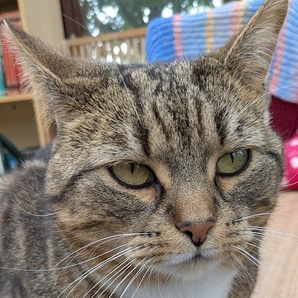 (Amanda)

Betty keeps telling me I've got beautiful eyes. I don't know why, they are nothing special.

I'm glad I've got them of course, but they are just eyes.

Sometimes ancient humans say weird things, don't they?