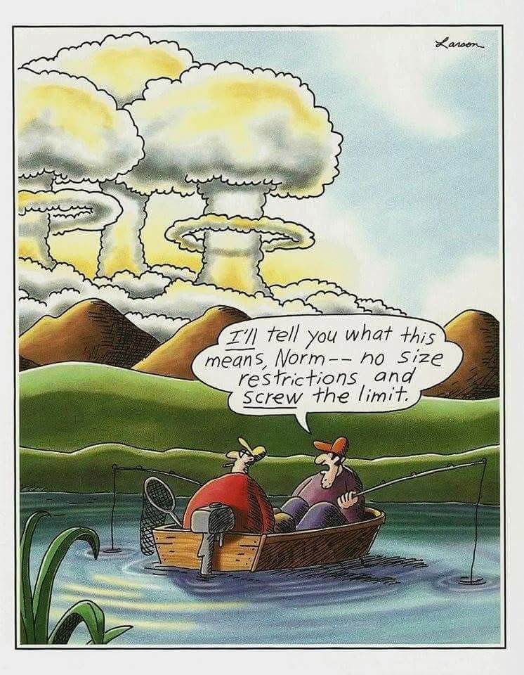 OutbackJunita (@outbackjunita) on Twitter photo 